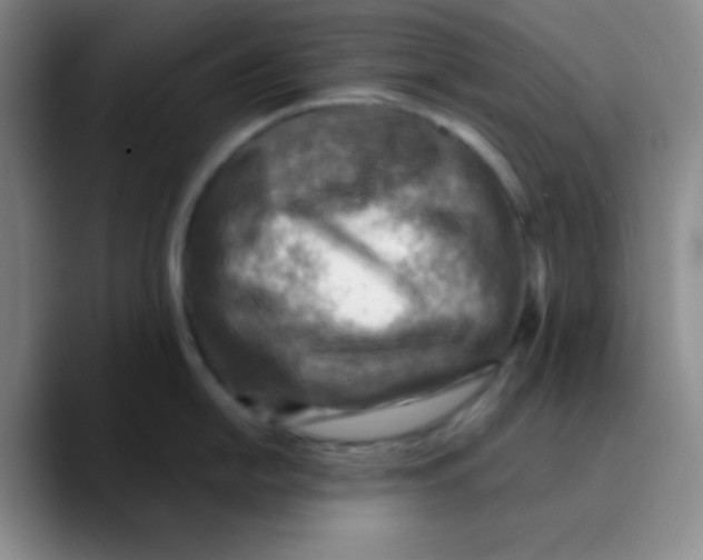 X0000089711054200707201757