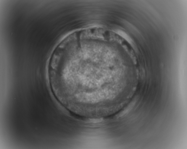 X0000089711055200707201757
