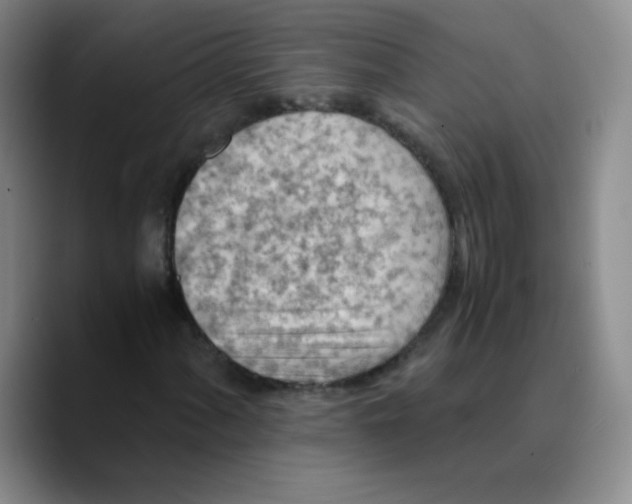 X0000089711060200707201756