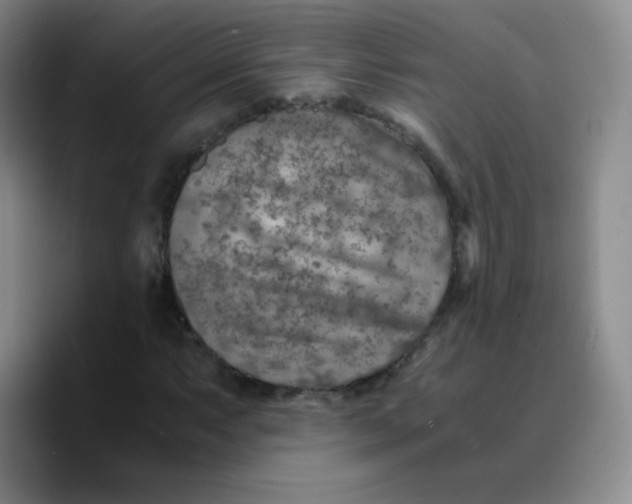 X0000089711063200707201756