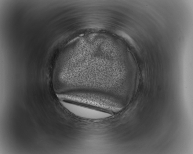 X0000089711064200707201756