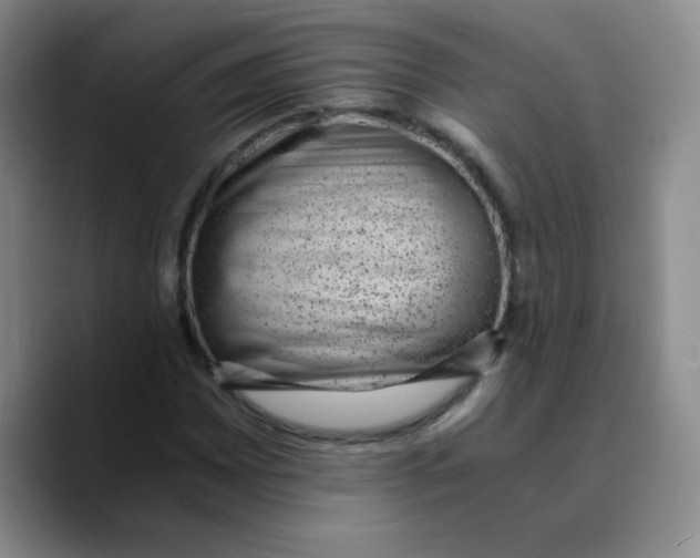 X0000089711065200707201756