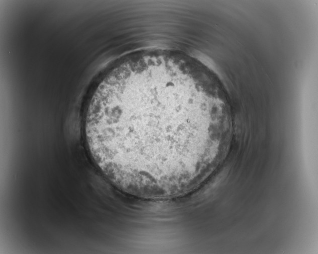 X0000089711067200707201756
