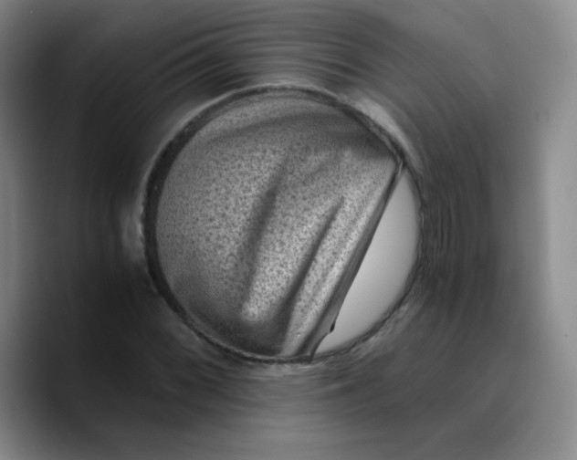 X0000089711068200707201756