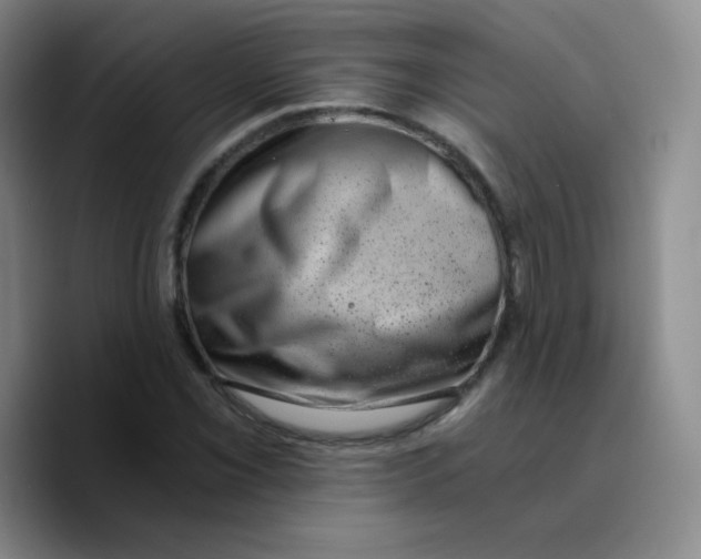 X0000089711069200707201756