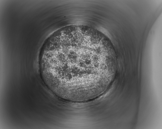 X0000089711071200707201756