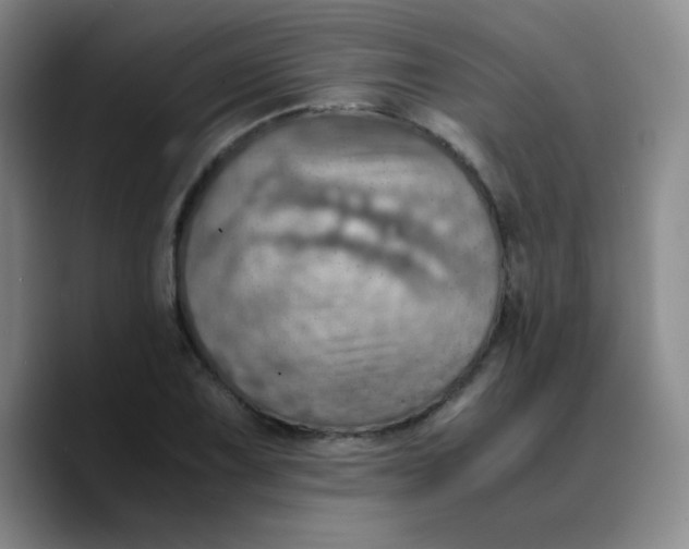 X0000089711075200707201756