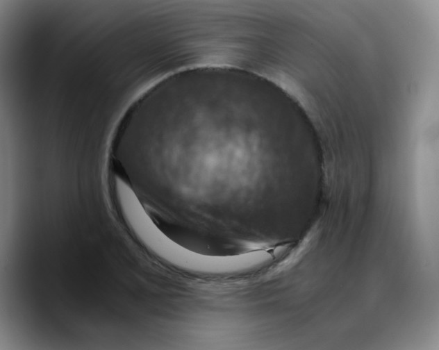 X0000089711077200707201756