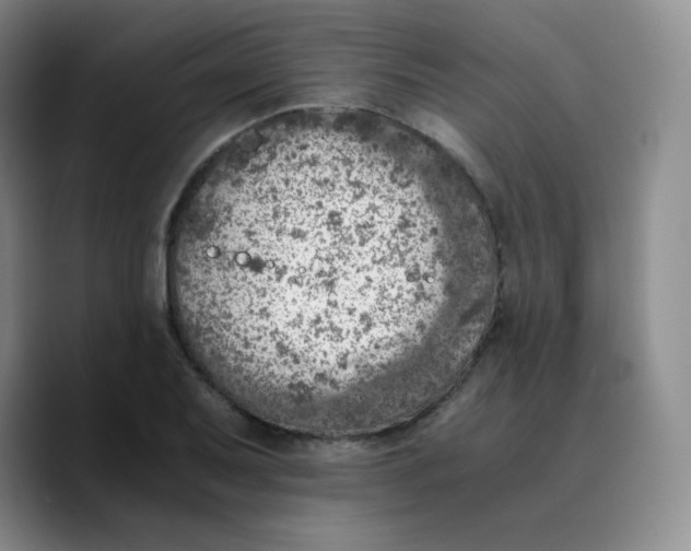 X0000089711079200707201756