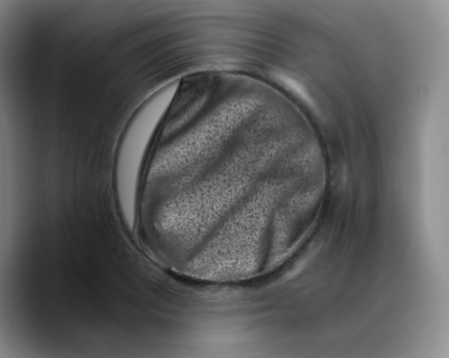 X0000089711081200707201756