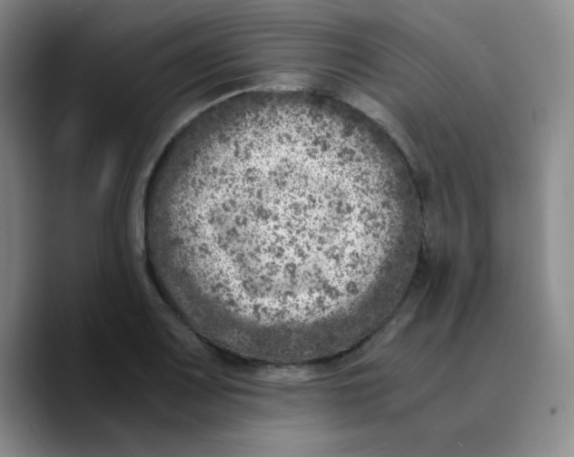 X0000089711083200707201756
