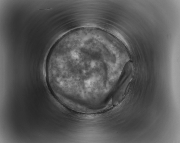 X0000089711084200707201756