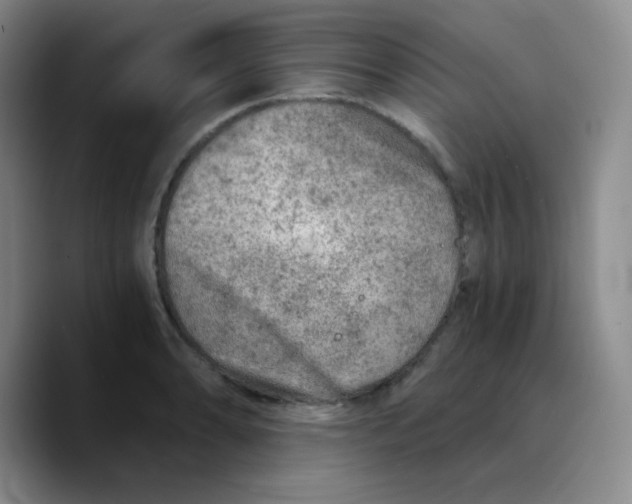 X0000089711086200707201756
