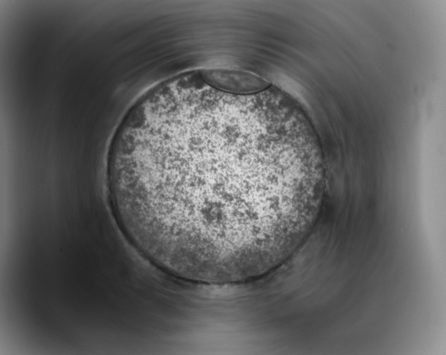 X0000089711087200707201756