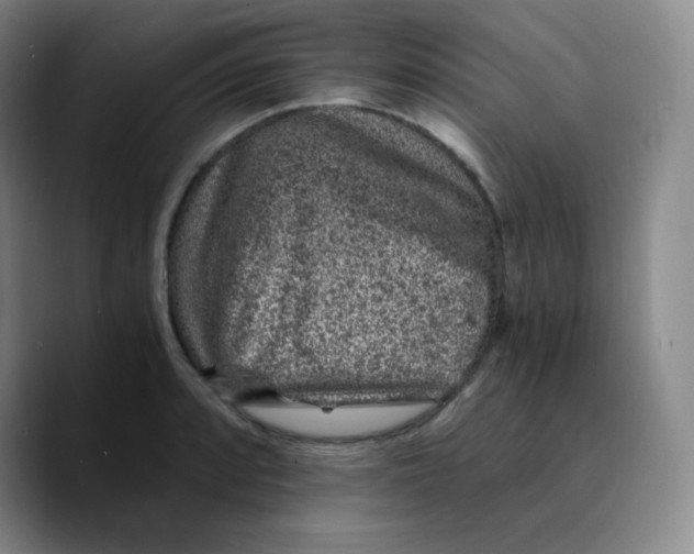 X0000089711088200707201756