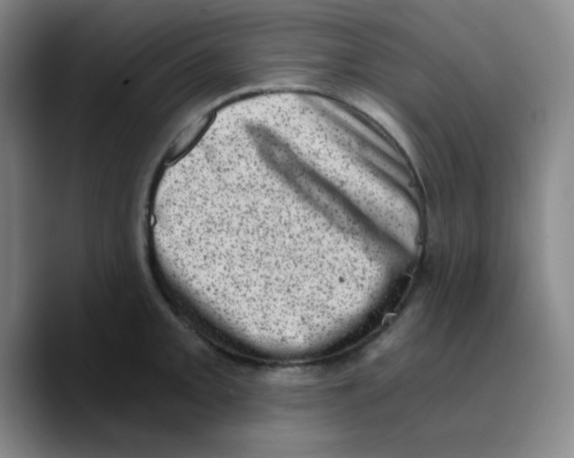 X0000089711093200707201755