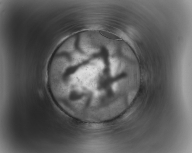 X0000089711095200707201755