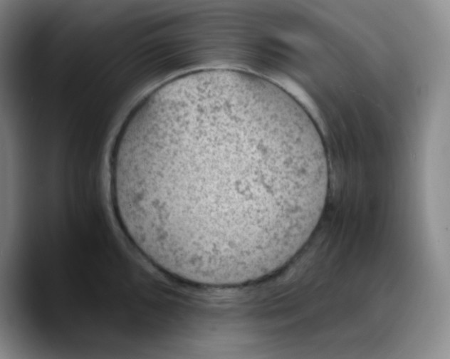 X0000089711096200707201755