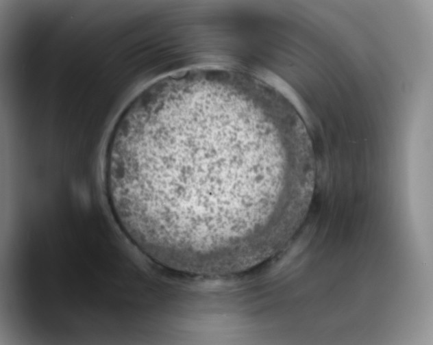 X0000089711099200707201755