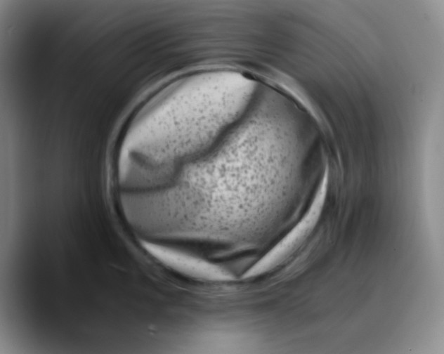 X0000089711101200707201755