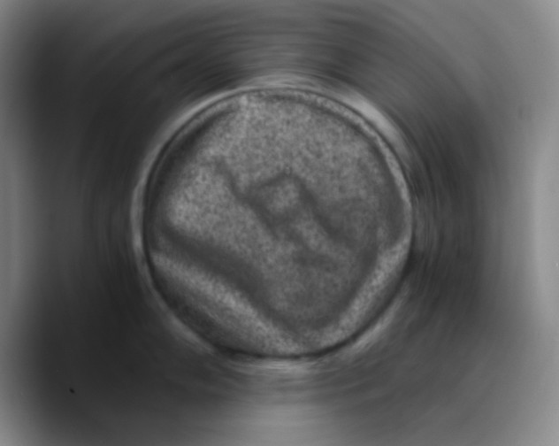 X0000089711102200707201755