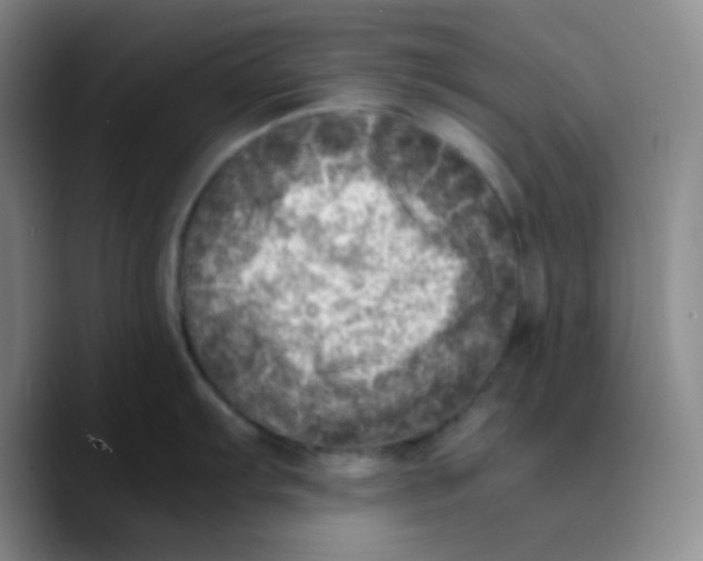 X0000089711103200707201755