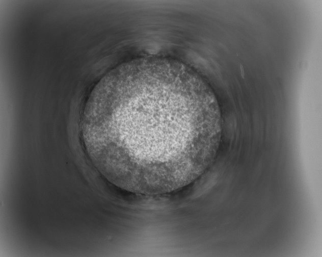 X0000089711105200707201755