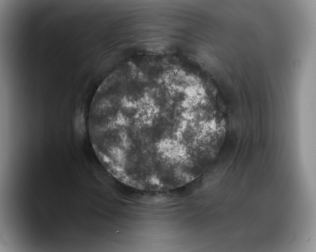 X0000089711106200707201755