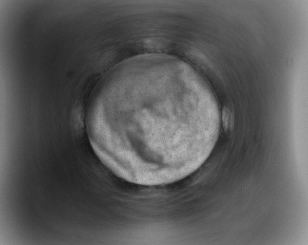X0000089711107200707201755