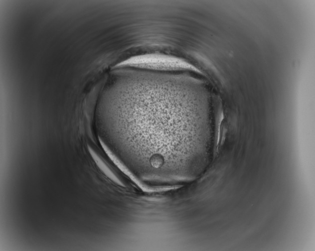 X0000089711110200707201755