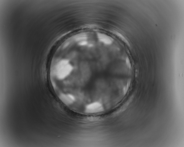 X0000089711117200707201755