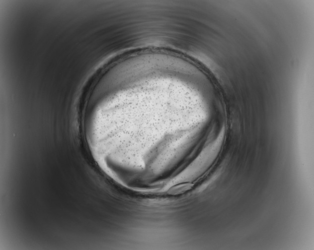X0000089711118200707201755