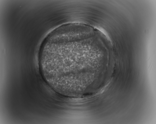 X0000089711120200707201755
