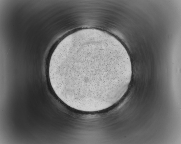 X0000089711122200707201755