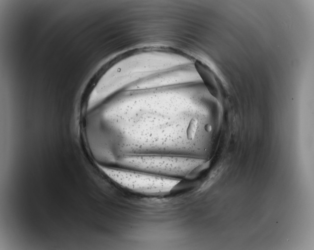 X0000089711124200707201755
