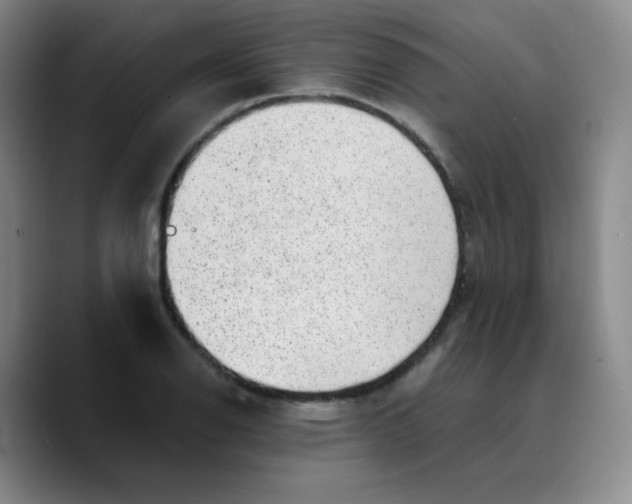 X0000089711126200707201755
