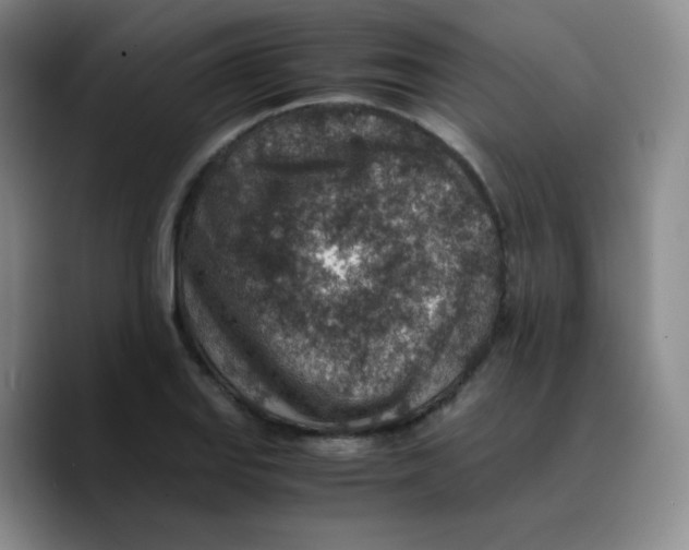 X0000089711127200707201755