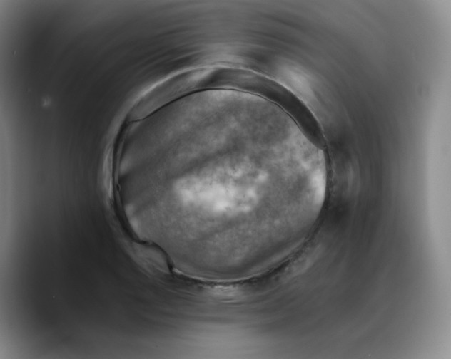 X0000089711128200707201755