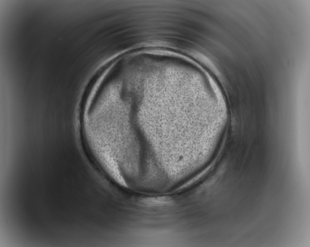 X0000089711133200707201755