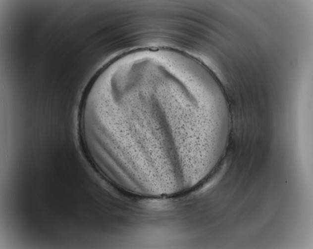 X0000089711134200707201755