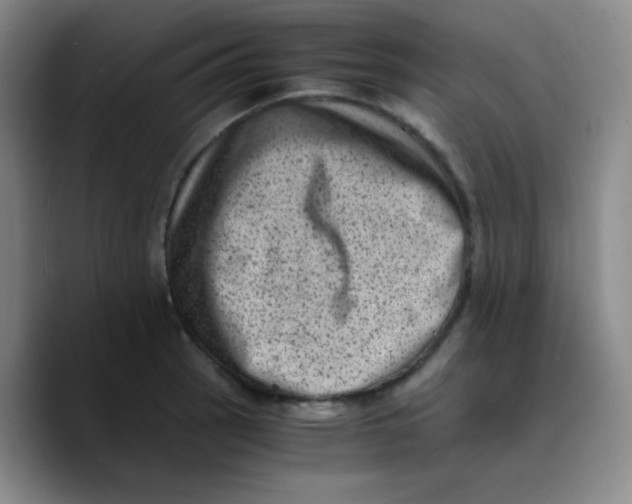 X0000089711137200707201755