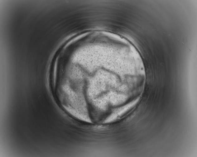 X0000089711139200707201755