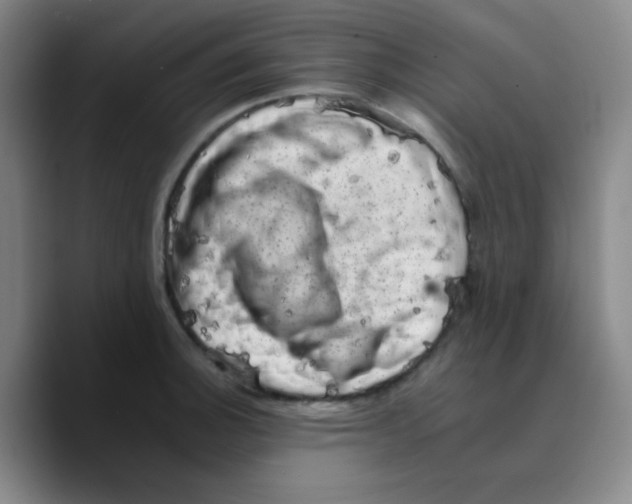 X0000089711140200707201755