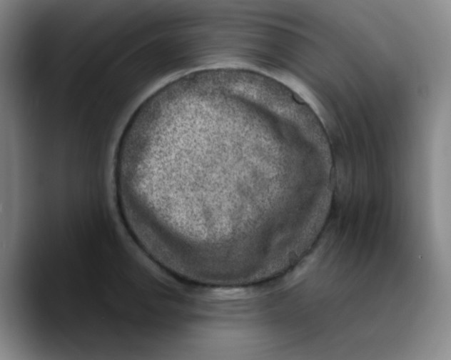 X0000089711142200707201755
