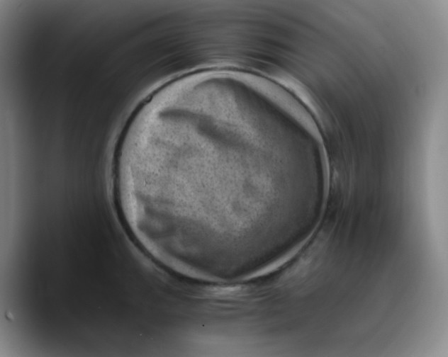X0000089711143200707201755