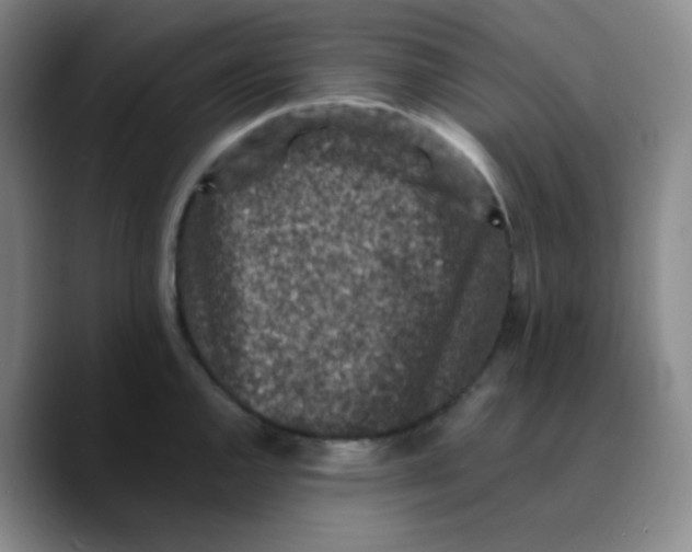 X0000089711144200707201755