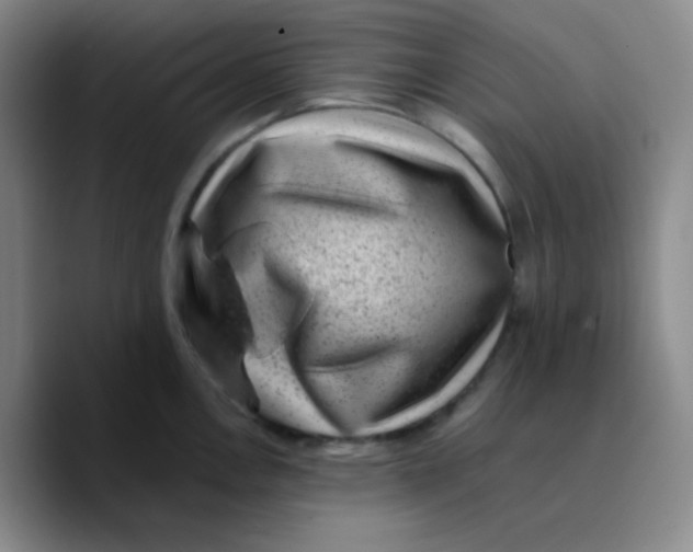 X0000089711146200707201755
