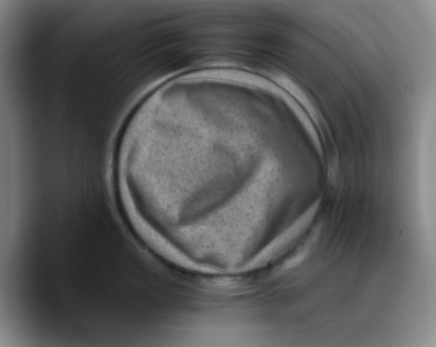 X0000089711149200707201755