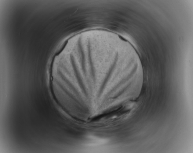 X0000089711151200707201755