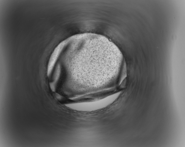 X0000089711153200707201755